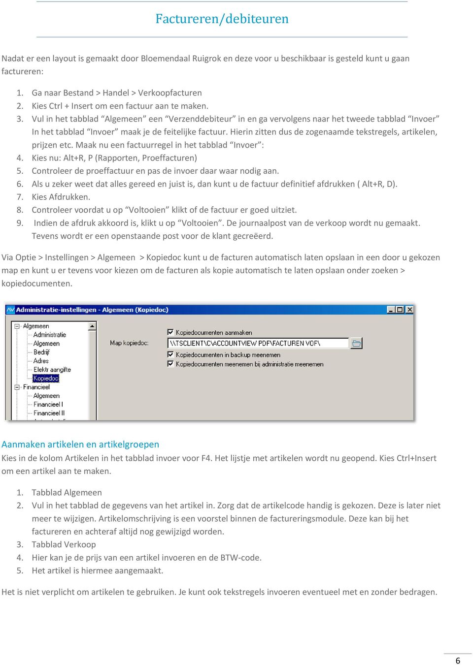 Vul in het tabblad Algemeen een Verzenddebiteur in en ga vervolgens naar het tweede tabblad Invoer In het tabblad Invoer maak je de feitelijke factuur.