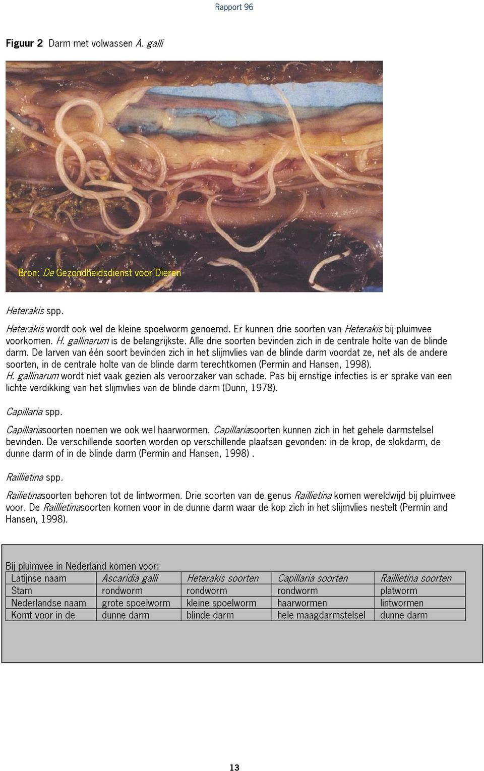 De larven van één soort bevinden zich in het slijmvlies van de blinde darm voordat ze, net als de andere soorten, in de centrale holte van de blinde darm terechtkomen (Permin and Ha