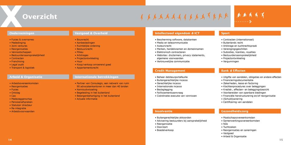 Appartementsrecht Bescherming software, databanken Media en telecommunicatie Auteursrecht Merken, handelsnamen en domeinnamen Elektronisch contracteren Websites: disclaimers, privacy statements,