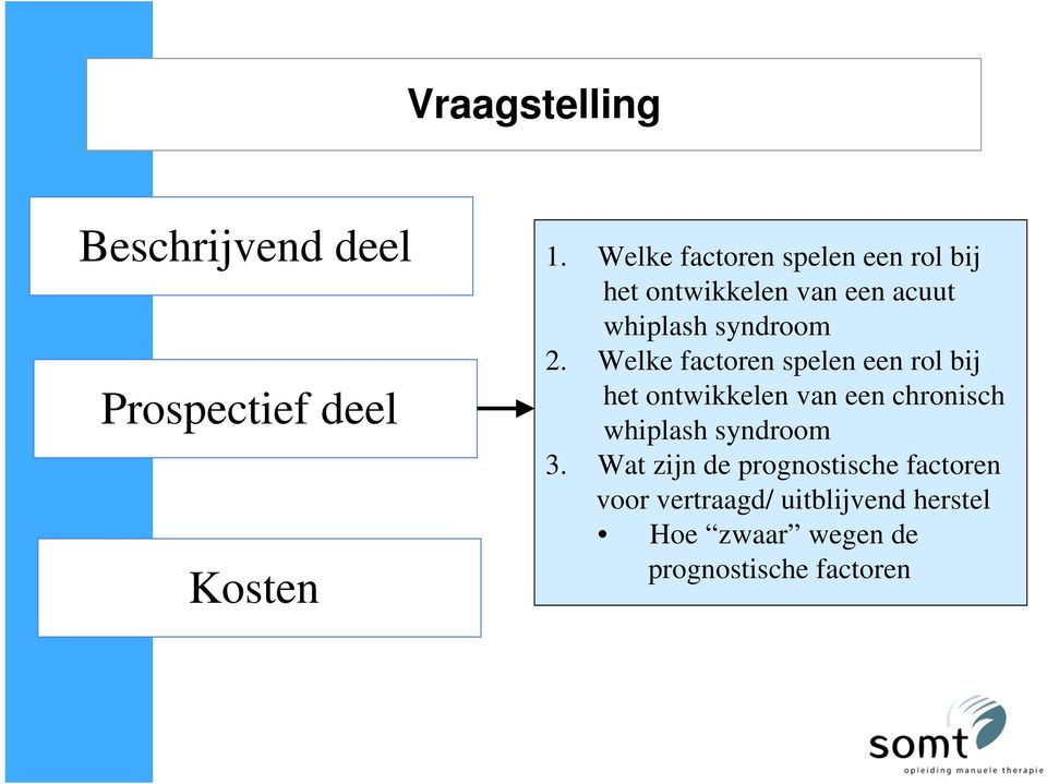 Welke factoren spelen een rol bij het ontwikkelen van een chronisch whiplash syndroom