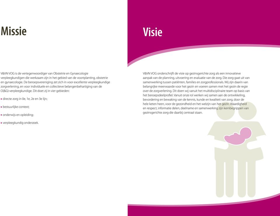 Dit doet zij in vier gebieden: directe zorg in 0e, 1e, 2e en 3e lijn; bestuurlijke context; onderwijs en opleiding; V&VN VOG onderschrijft de visie op gezinsgerichte zorg als een innovatieve aanpak