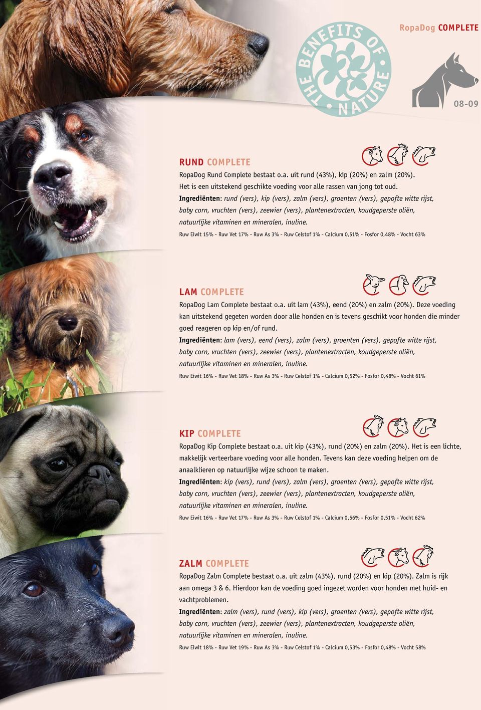 mineralen, inuline. Ruw Eiwit 15% - Ruw Vet 17% - Ruw As 3% - Ruw Celstof 1% - Calcium 0,51% - Fosfor 0,48% - Vocht 63% LAM COMPLETE RopaDog Lam Complete bestaat o.a. uit lam (43%), eend (20%) en zalm (20%).