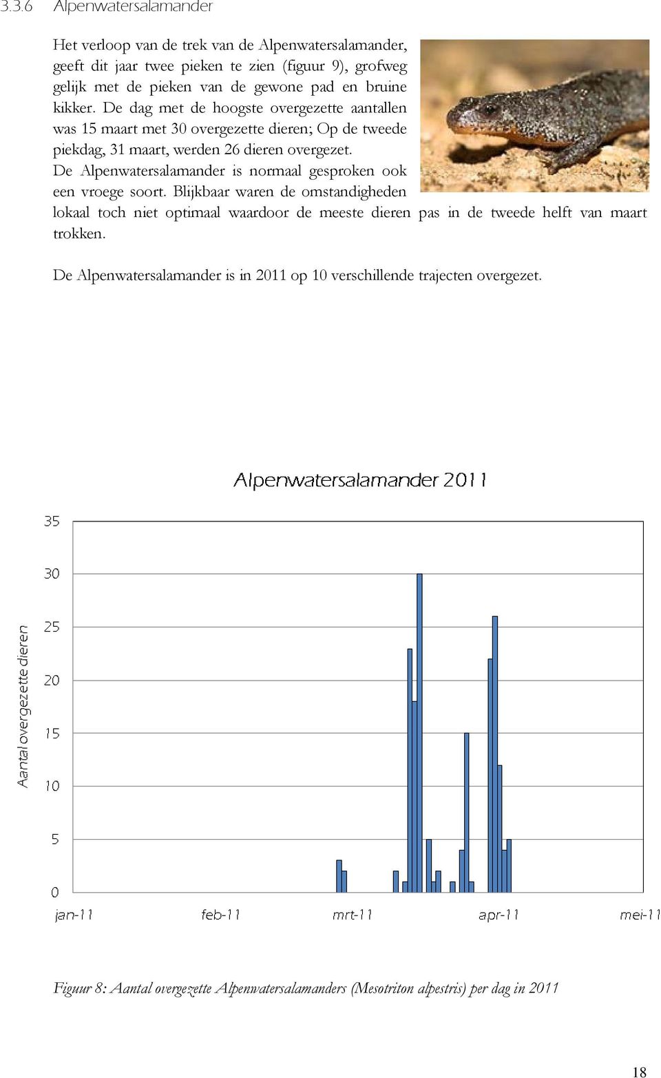 De Alpenwatersalamander is normaal gesproken ook een vroege soort.