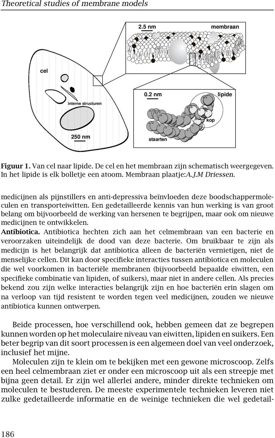 Een gedetailleerde kennis van hun werking is van groot belang om bijvoorbeeld de werking van hersenen te begrijpen, maar ook om nieuwe medicijnen te ontwikkelen. Antibiotica.