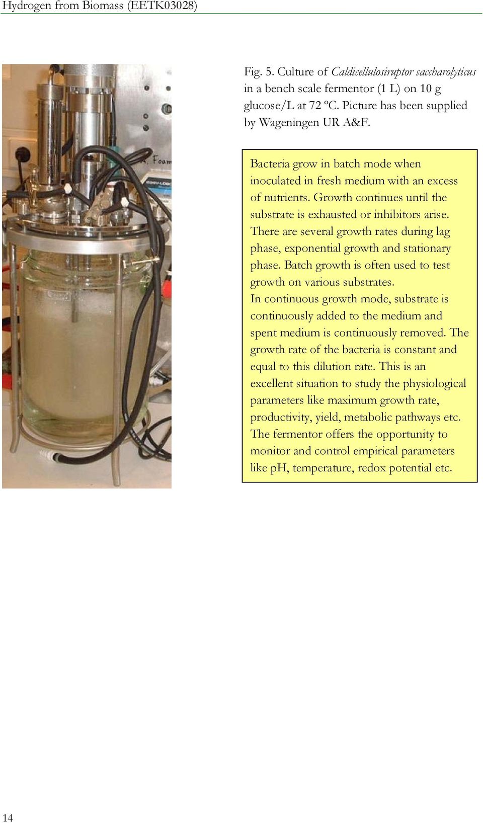 There are several growth rates during lag phase, exponential growth and stationary phase. Batch growth is often used to test growth on various substrates.