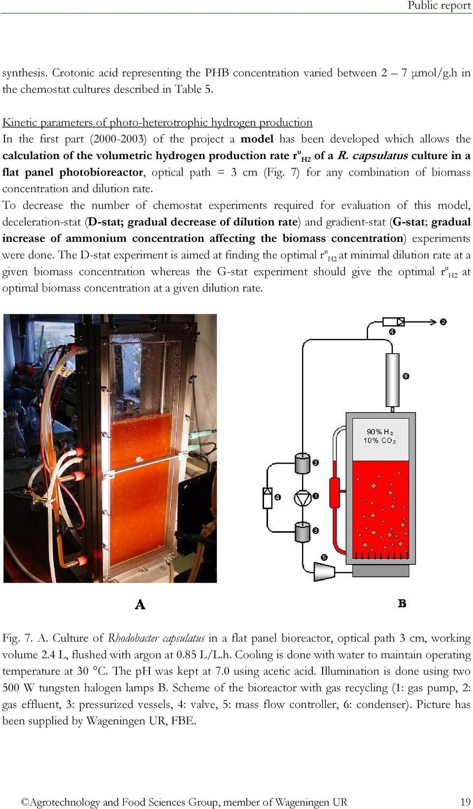 production rate r u H2 of a R. capsulatus culture in a flat panel photobioreactor, optical path = 3 cm (Fig. 7) for any combination of biomass concentration and dilution rate.