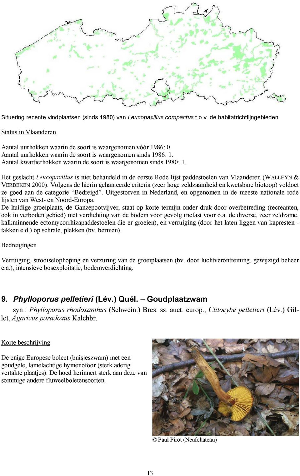 Het geslacht Leucopaxillus is niet behandeld in de eerste Rode lijst paddestoelen van Vlaanderen (WALLEYN & VERBEKEN 2000).