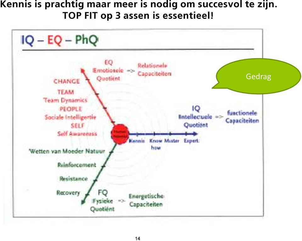 succesvol te zijn.