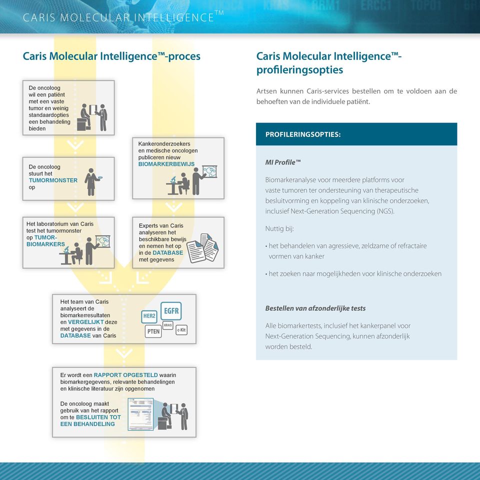 het beschikbare bewijs en nemen het op in de DATABASE met gegevens Artsen kunnen Caris-services bestellen om te voldoen aan de behoeften van de individuele patiënt.