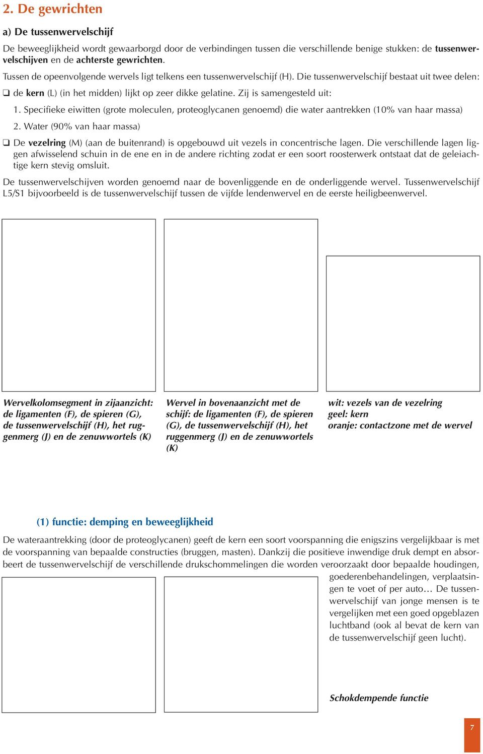 Zij is samengesteld uit: 1. Specifieke eiwitten (grote moleculen, proteoglycanen genoemd) die water aantrekken (10% van haar massa) 2.