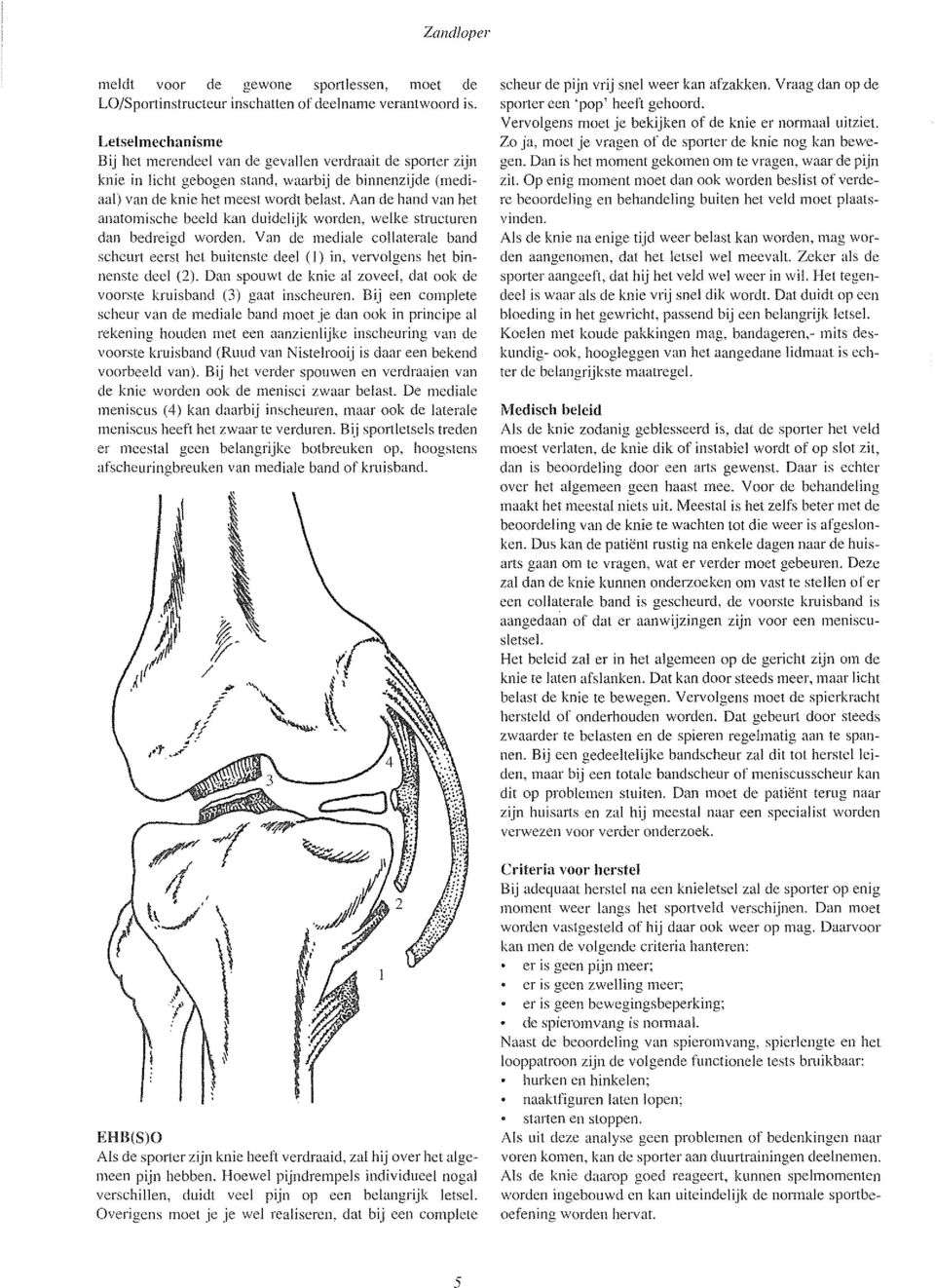 Aan de hand van het anatomische beeld kan duidelijk worden, welke structuren dan bedreigd worden.