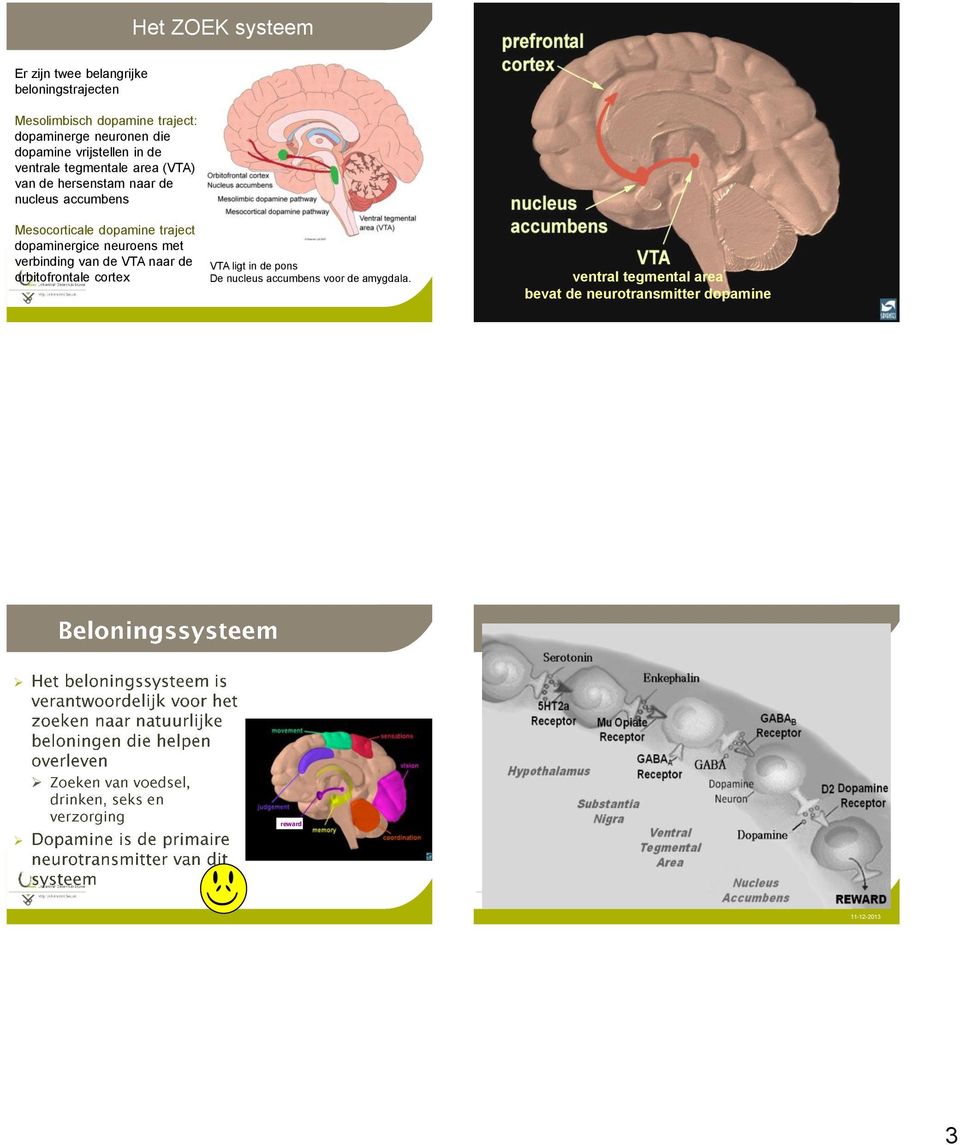 dopamine traject dopaminergice neuroens met verbinding van de VTA naar de orbitofrontale cortex VTA ligt in de pons