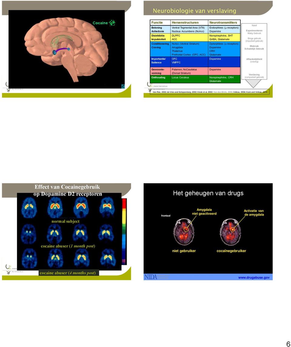 Glutamate Dynorphines ( -receptors) Dopamine CRH Glutamate Dopamine Dopamine Onthouding Locus Ceruleus Norepinephrine, CRH Glutamate Naief Experimenteren Matig Gebruik Binge gebruik (impulsief