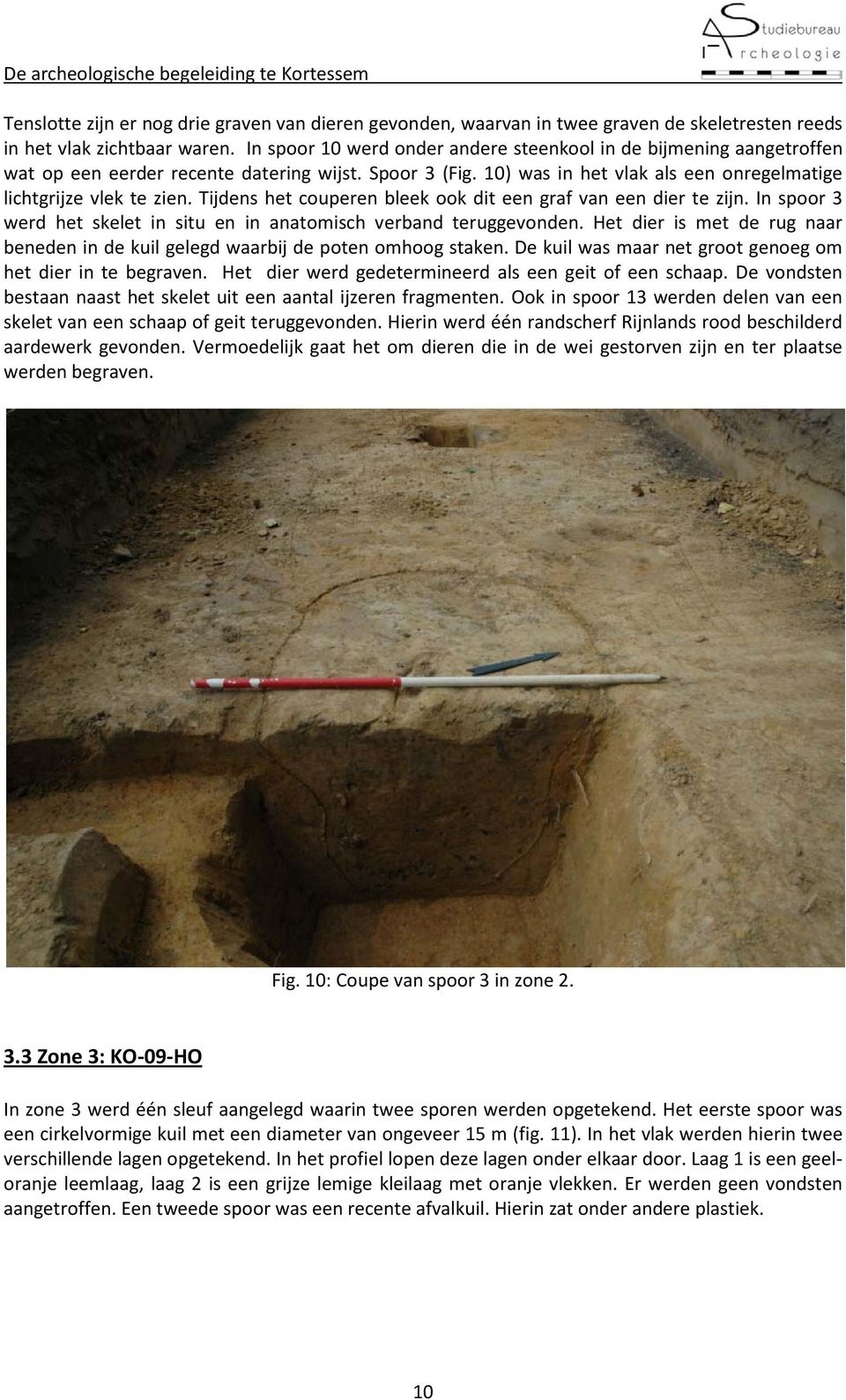 Tijdens het couperen bleek ook dit een graf van een dier te zijn. In spoor 3 werd het skelet in situ en in anatomisch verband teruggevonden.