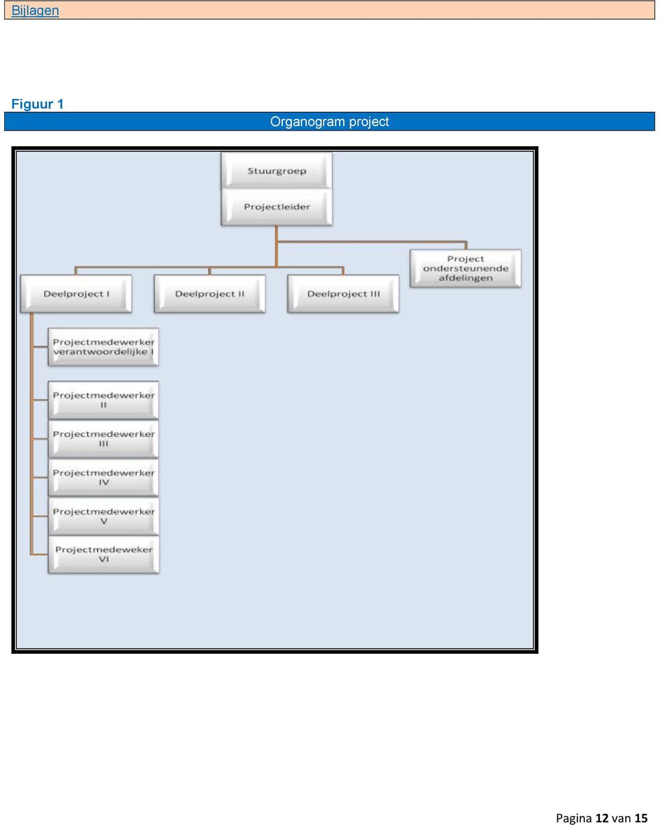 Organogram