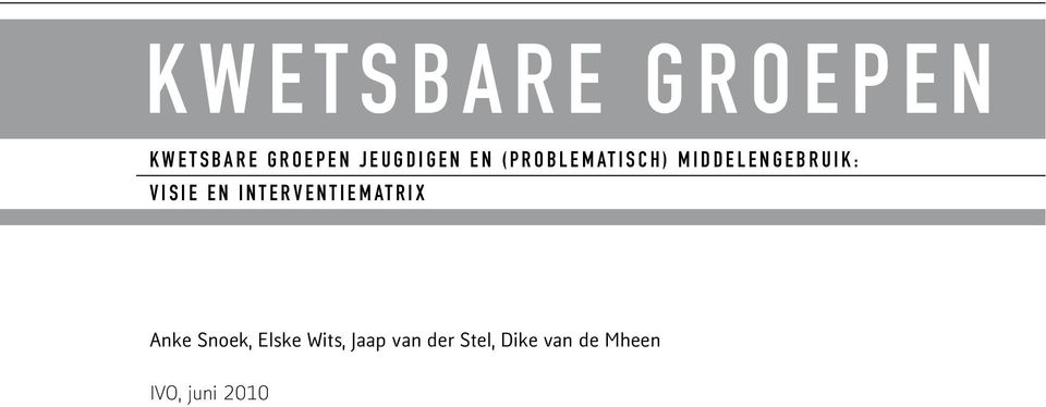 G E B R U I K : VISIE EN INTERVENTIEMATRIX Anke Snoek,