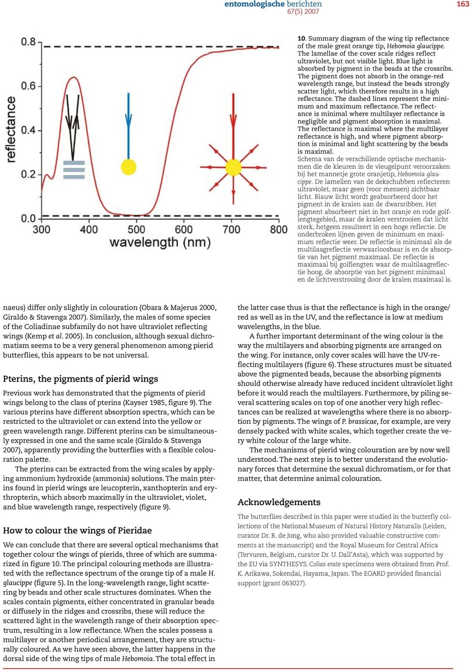 The pigment does not absorb in the orange-red wavelength range, but instead the beads strongly scatter light, which therefore results in a high reflectance.