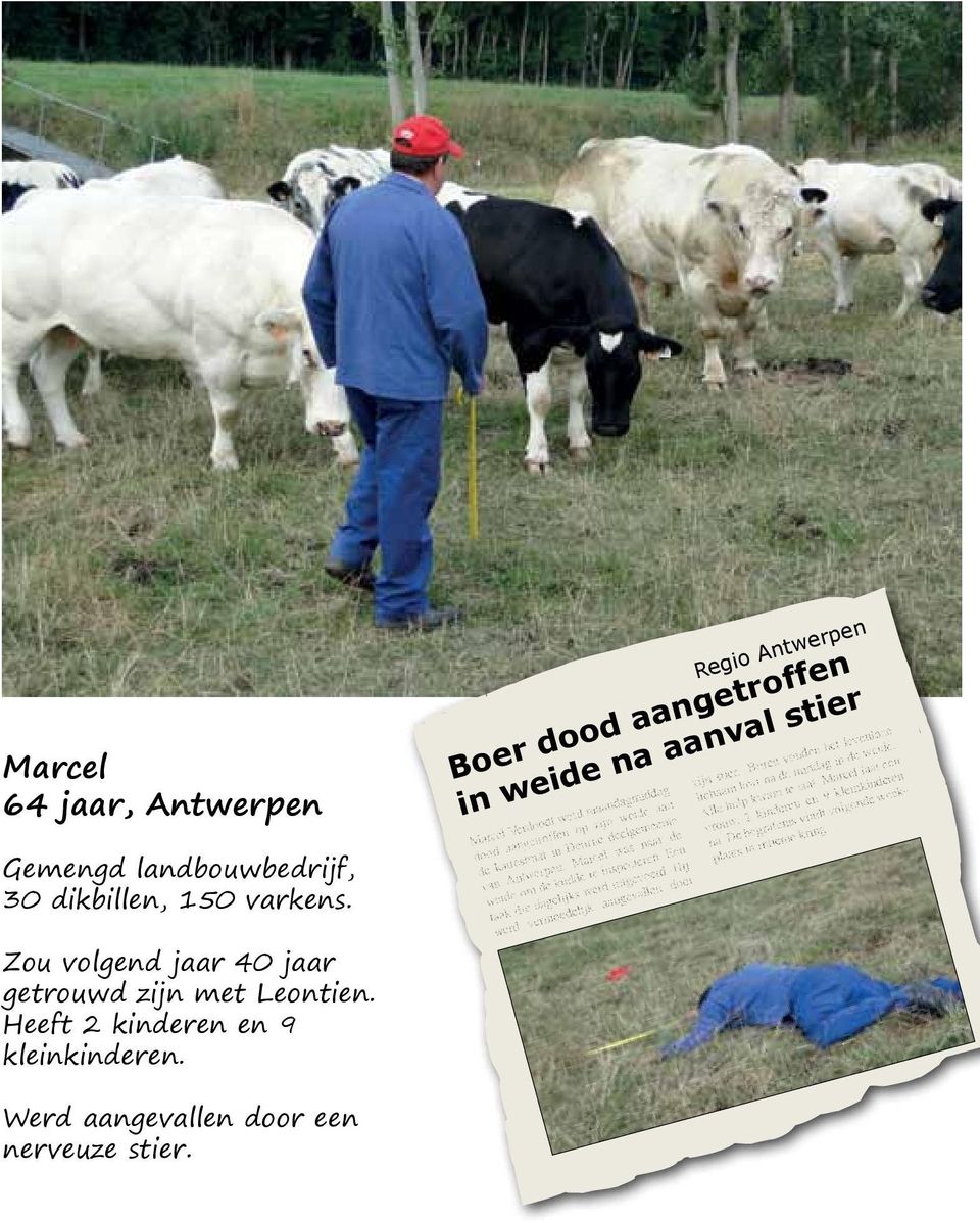 Marcel was naar de weide om de kudde te inspecteren. Een taak die dagelijks werd uitgevoerd. Hij werd vermoedelijk aangevallen door zijn stier.