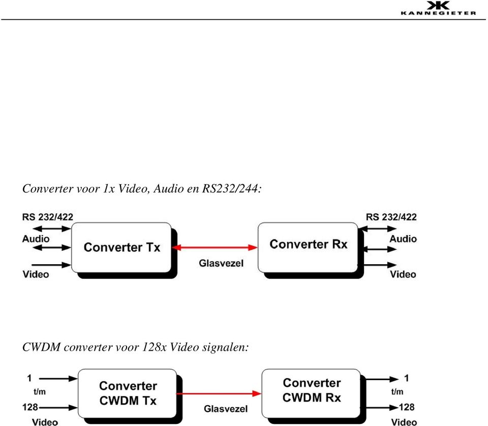 RS232/244: CWDM