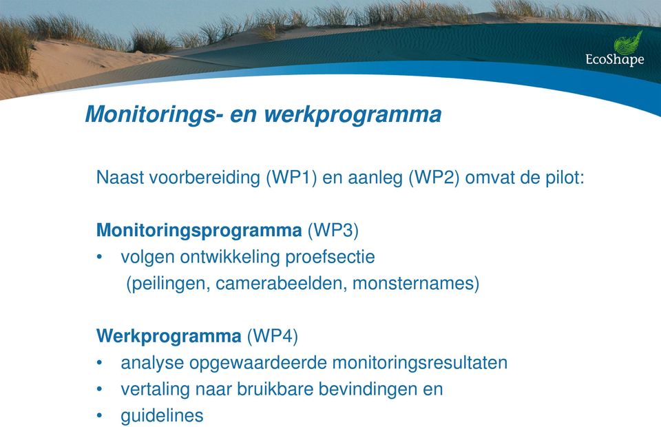 (peilingen, camerabeelden, monsternames) Werkprogramma (WP4) analyse