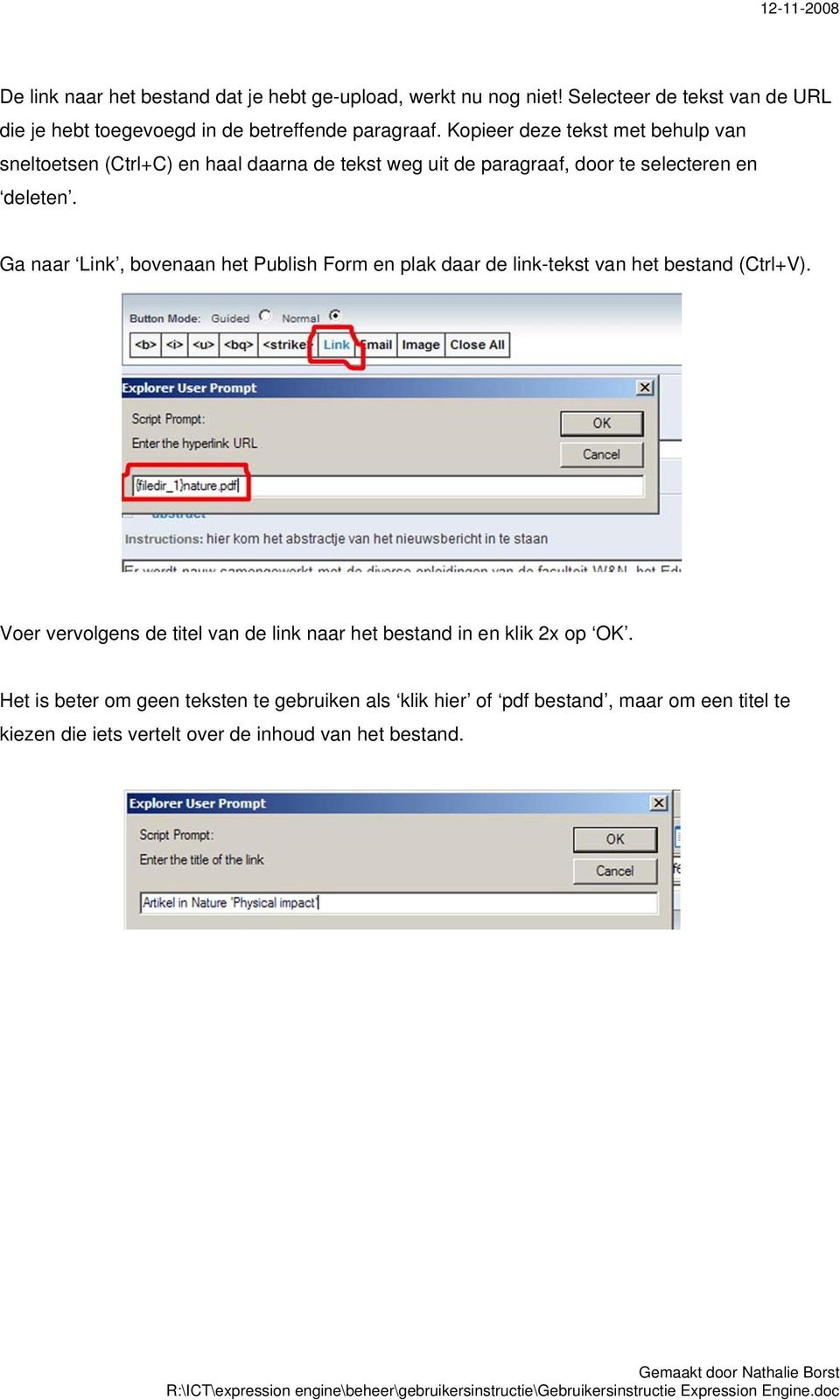 Ga naar Link, bovenaan het Publish Form en plak daar de link-tekst van het bestand (Ctrl+V).