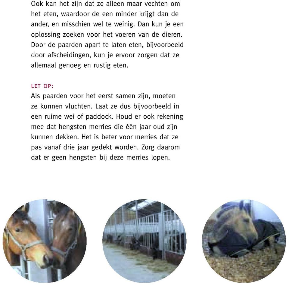 Door de paarden apart te laten eten, bijvoorbeeld door afscheidingen, kun je ervoor zorgen dat ze allemaal genoeg en rustig eten.