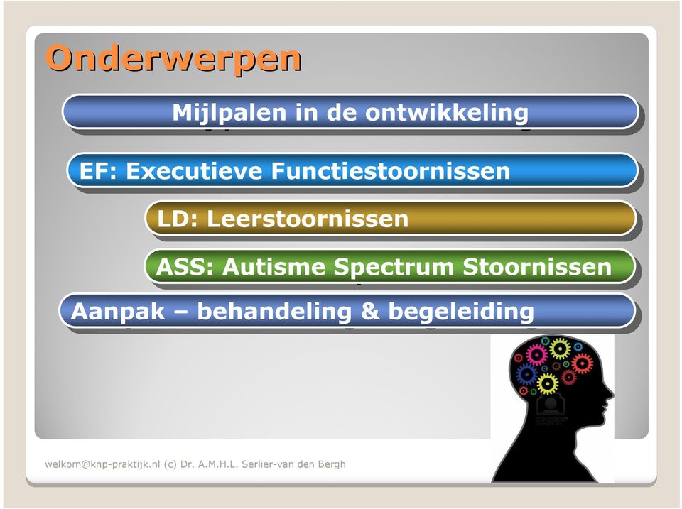 Functiestoornissen LD: Leerstoornissen