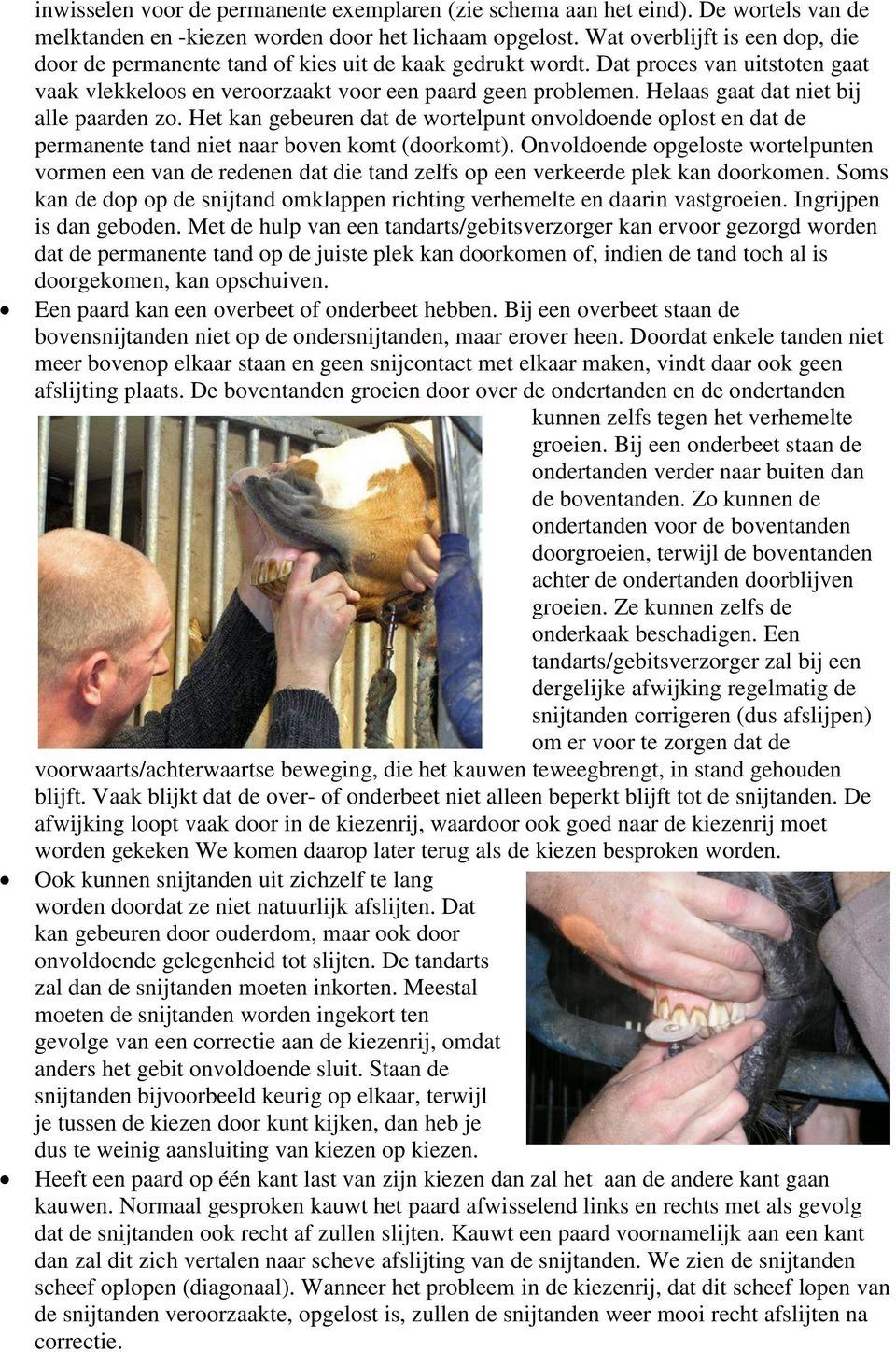 Helaas gaat dat niet bij alle paarden zo. Het kan gebeuren dat de wortelpunt onvoldoende oplost en dat de permanente tand niet naar boven komt (doorkomt).