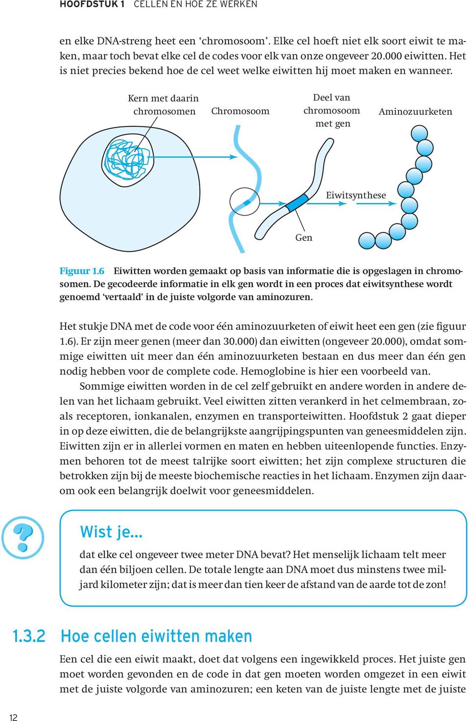 6 Eiwitten worden gemaakt op basis van informatie die is opgeslagen in chromosomen.