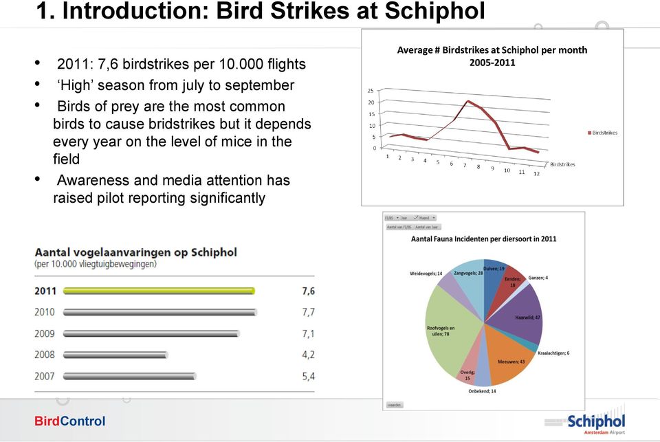 common birds to cause bridstrikes but it depends every year on the level of