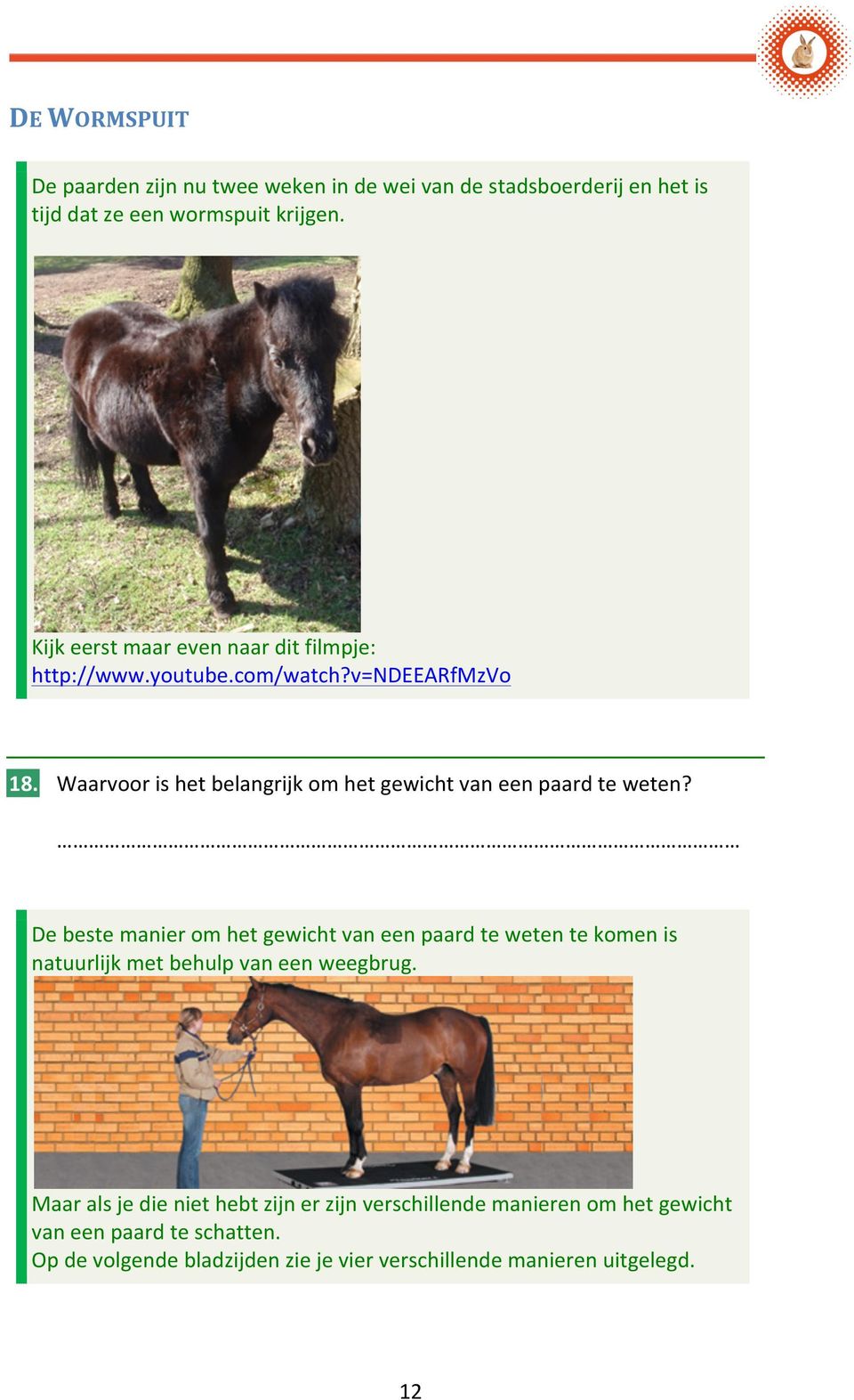 Waarvoor is het belangrijk om het gewicht van een paard te weten?