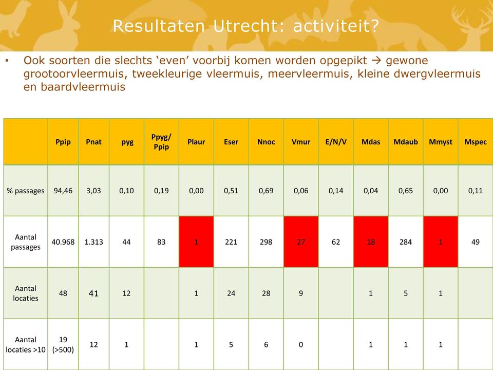 kleine dwergvleermuis en baardvleermuis Ppip Pnat pyg Ppyg/ Ppip Plaur Eser Nnoc Vmur E/N/V Mdas Mdaub Mmyst Mspec %