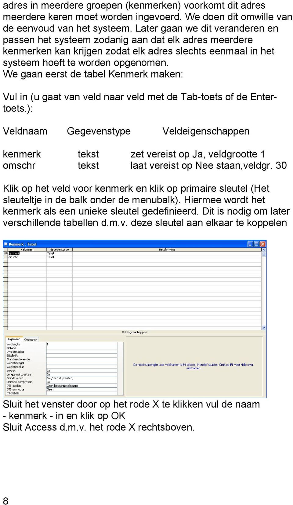 We gaan eerst de tabel Kenmerk maken: Vul in (u gaat van veld naar veld met de Tab-toets of de Entertoets.