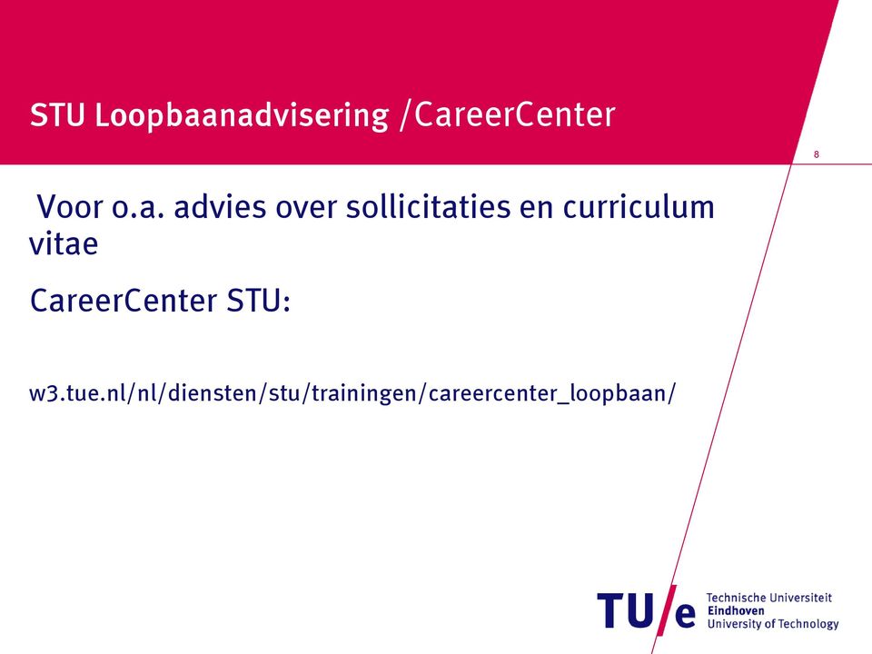 advies over sollicitaties en curriculum