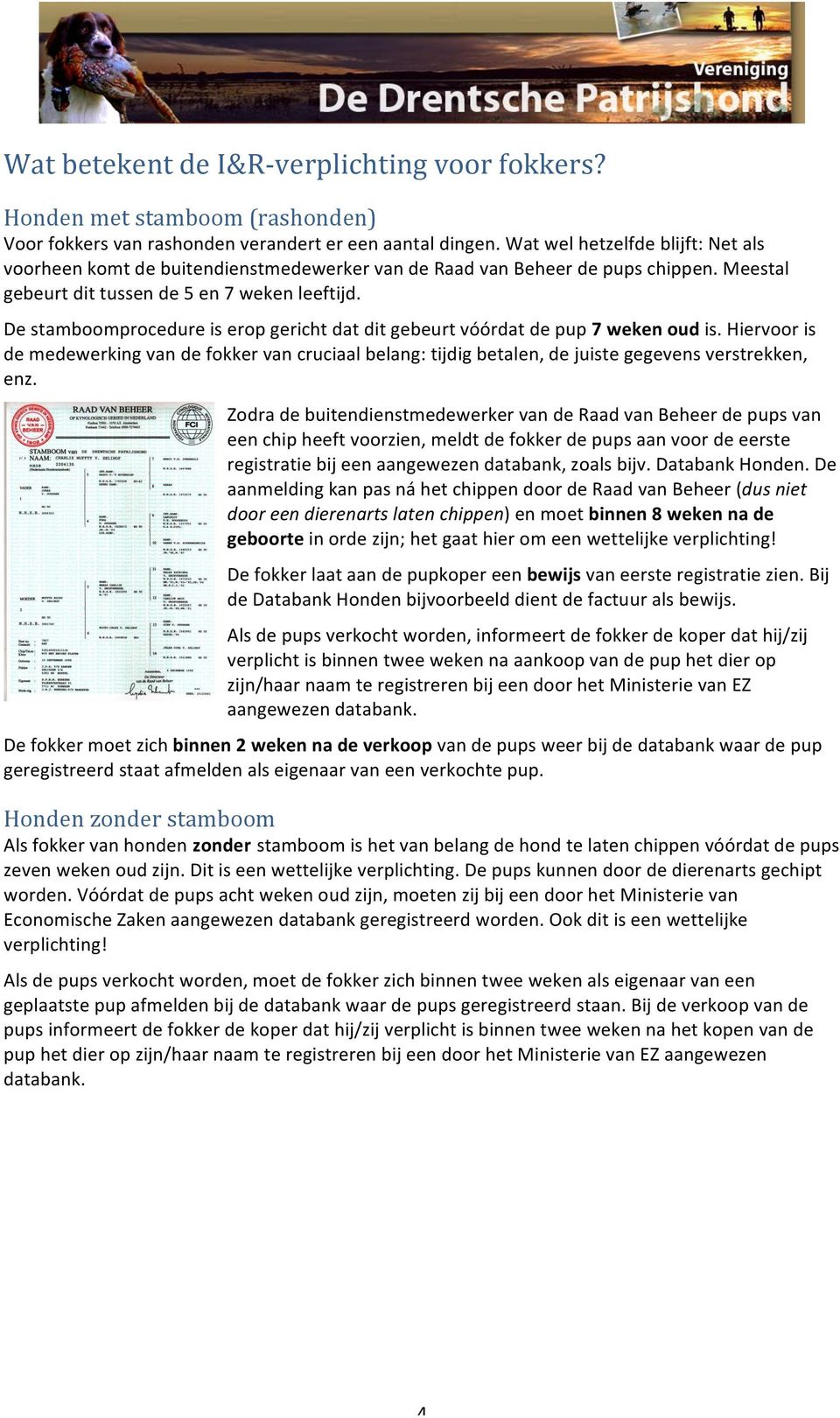 De stamboomprocedure is erop gericht dat dit gebeurt vóórdat de pup 7 weken oud is. Hiervoor is de medewerking van de fokker van cruciaal belang: tijdig betalen, de juiste gegevens verstrekken, enz.