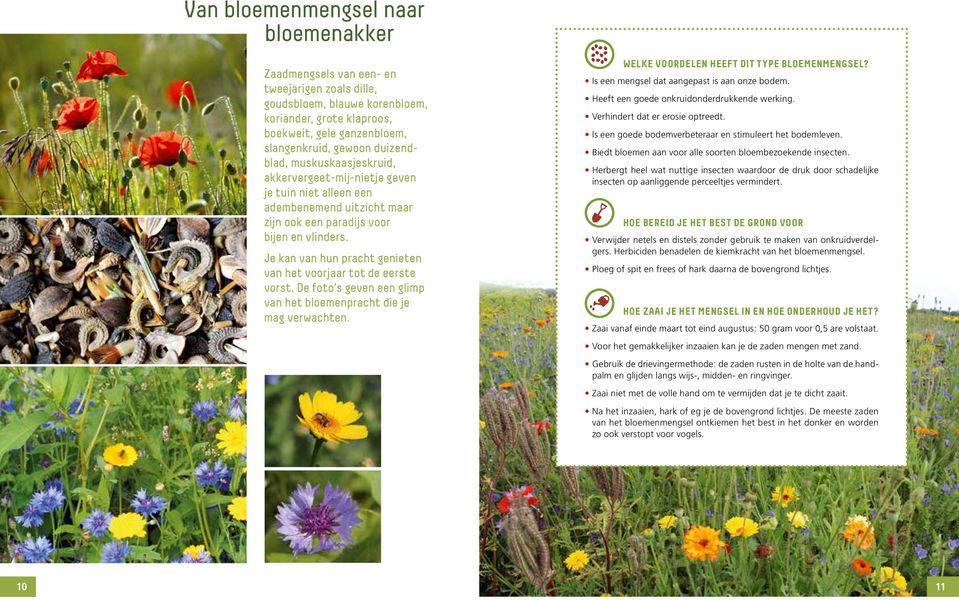 Je kan van hun pracht genieten van het voorjaar tot de eerste vorst. De foto s geven een glimp van het bloemenpracht die je mag verwachten. Welke voordelen heeft dit type bloemenmengsel?