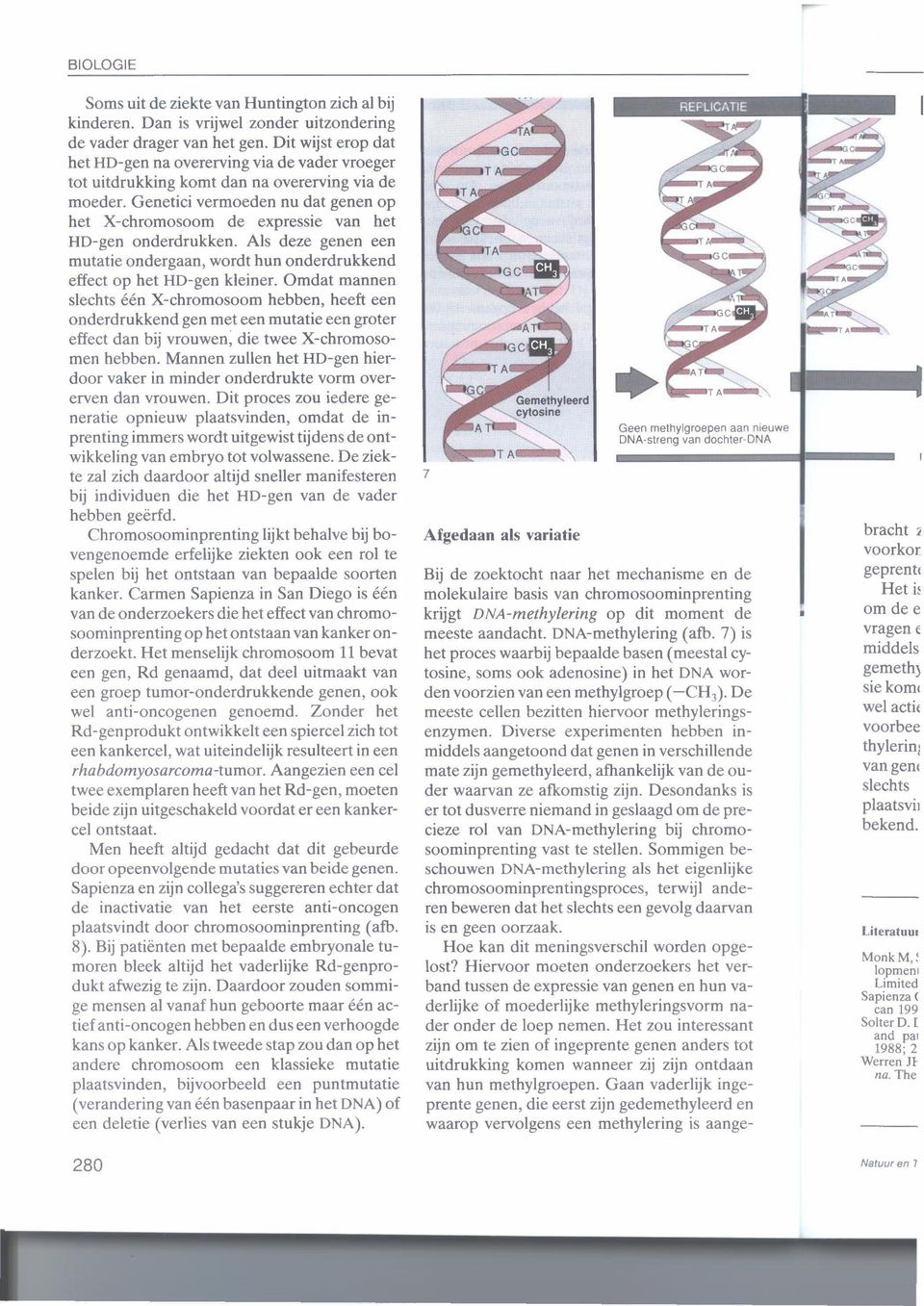 Genetici vermoeden nu dat genen op het X-chromosoom de expressie van het HD-gen onderdrukken. Als deze genen een mutatie ondergaan, wordt hun onderdrukkend effect op het HD-gen kleiner.