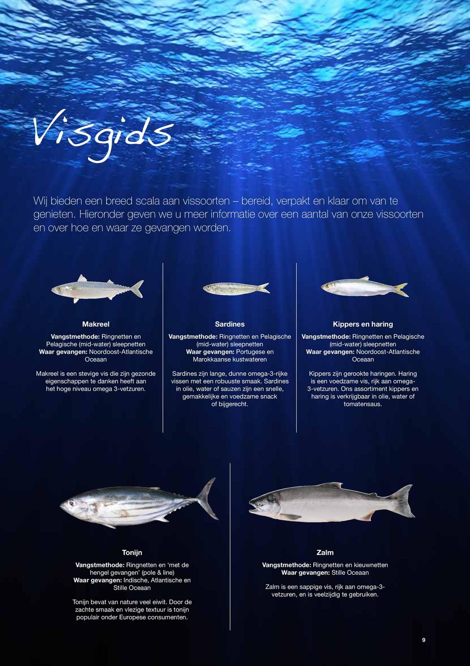 Makreel Vangstmethode: Ringnetten en Pelagische (mid-water) sleepnetten Waar gevangen: Noordoost-Atlantische Oceaan Makreel is een stevige vis die zijn gezonde eigenschappen te danken heeft aan het