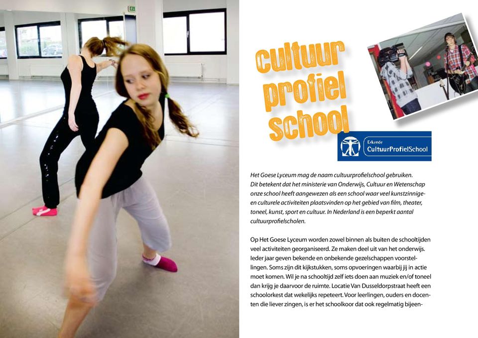 theater, toneel, kunst, sport en cultuur. In Nederland is een beperkt aantal cultuurprofielscholen. Op Het Goese Lyceum worden zowel binnen als buiten de schooltijden veel activiteiten georganiseerd.