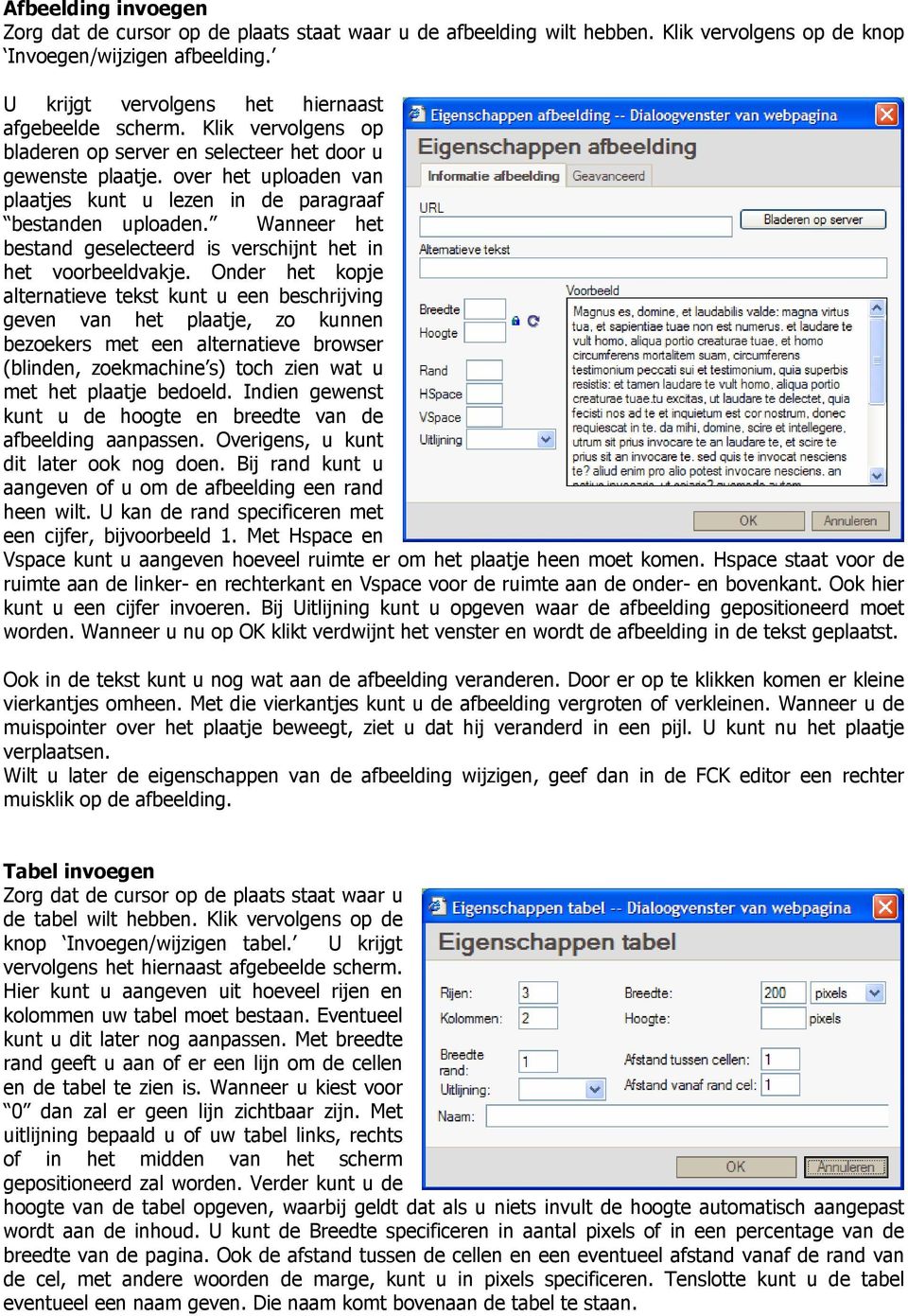 over het uploaden van plaatjes kunt u lezen in de paragraaf bestanden uploaden. Wanneer het bestand geselecteerd is verschijnt het in het voorbeeldvakje.