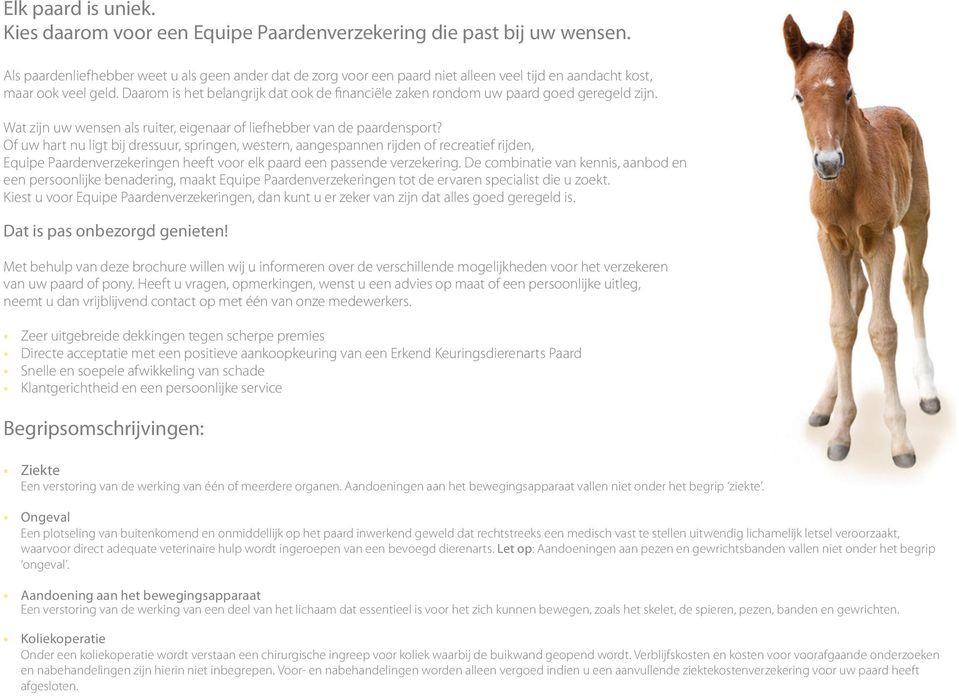 Daarom is het belangrijk dat ook de financiële zaken rondom uw paard goed geregeld zijn. Wat zijn uw wensen als ruiter, eigenaar of liefhebber van de paardensport?