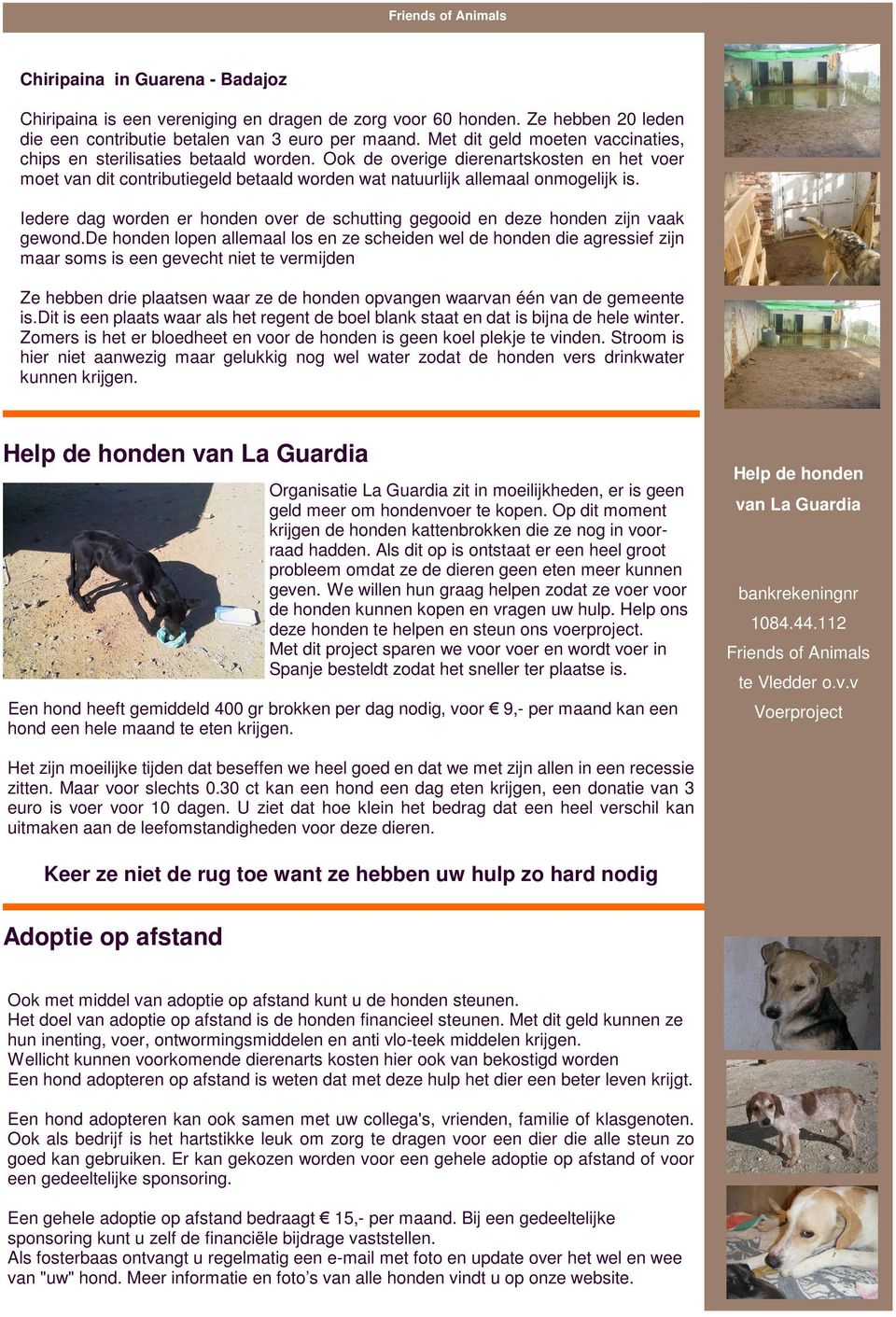 Iedere dag worden er honden over de schutting gegooid en deze honden zijn vaak gewond.