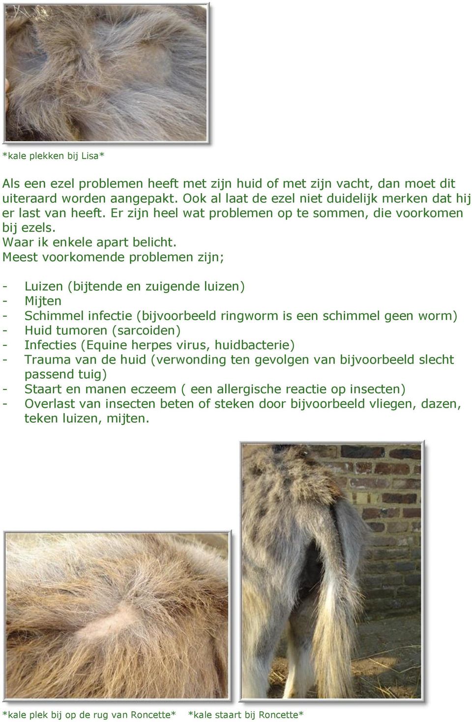 Meest voorkomende problemen zijn; - Luizen (bijtende en zuigende luizen) - Mijten - Schimmel infectie (bijvoorbeeld ringworm is een schimmel geen worm) - Huid tumoren (sarcoiden) - Infecties (Equine