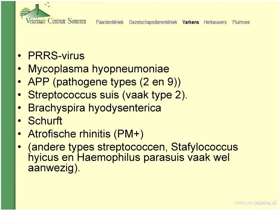 Brachyspira hyodysenterica Schurft Atrofische rhinitis (PM+)