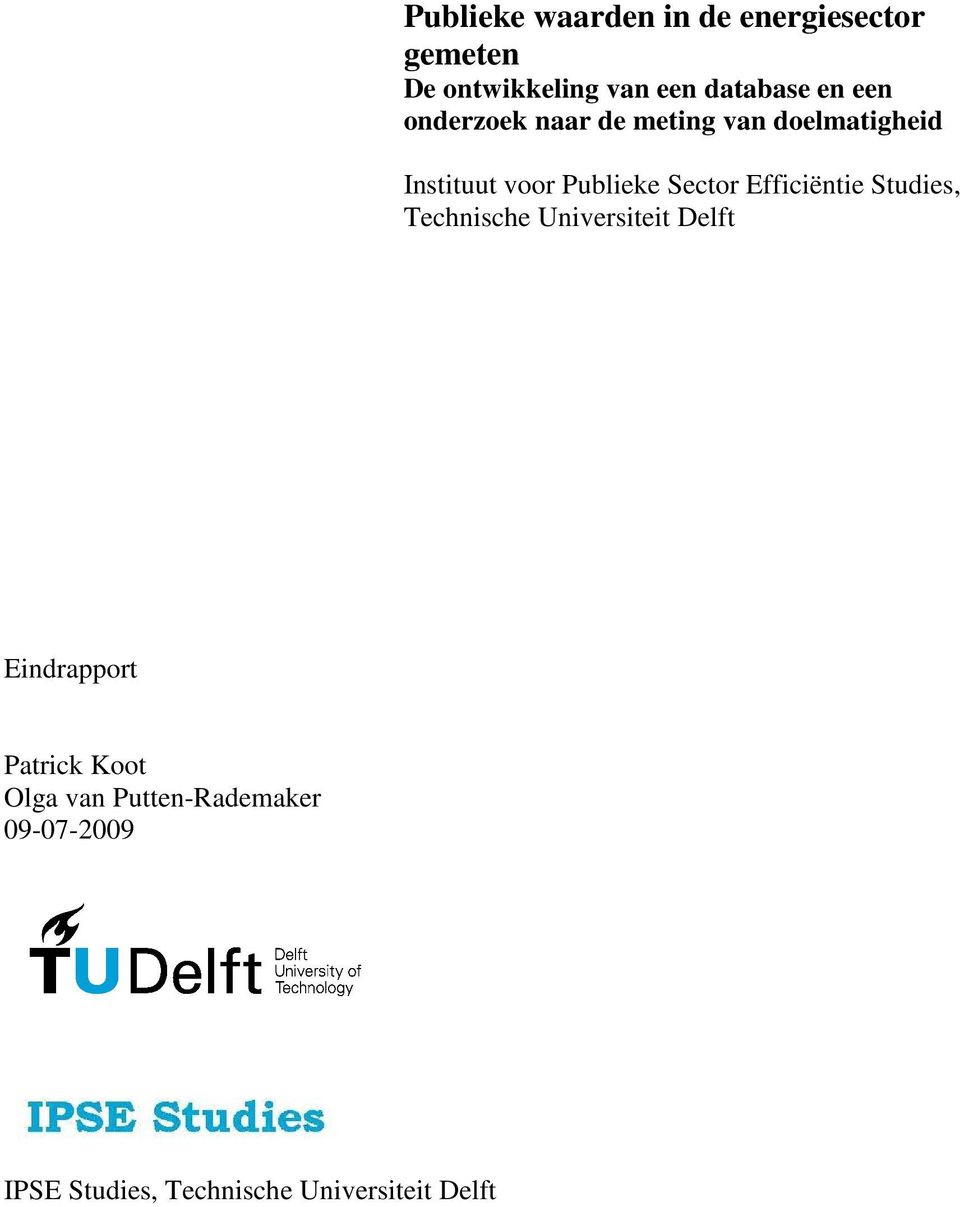 Sector Efficiëntie Studies, Technische Universiteit Delft Eindrapport Patrick
