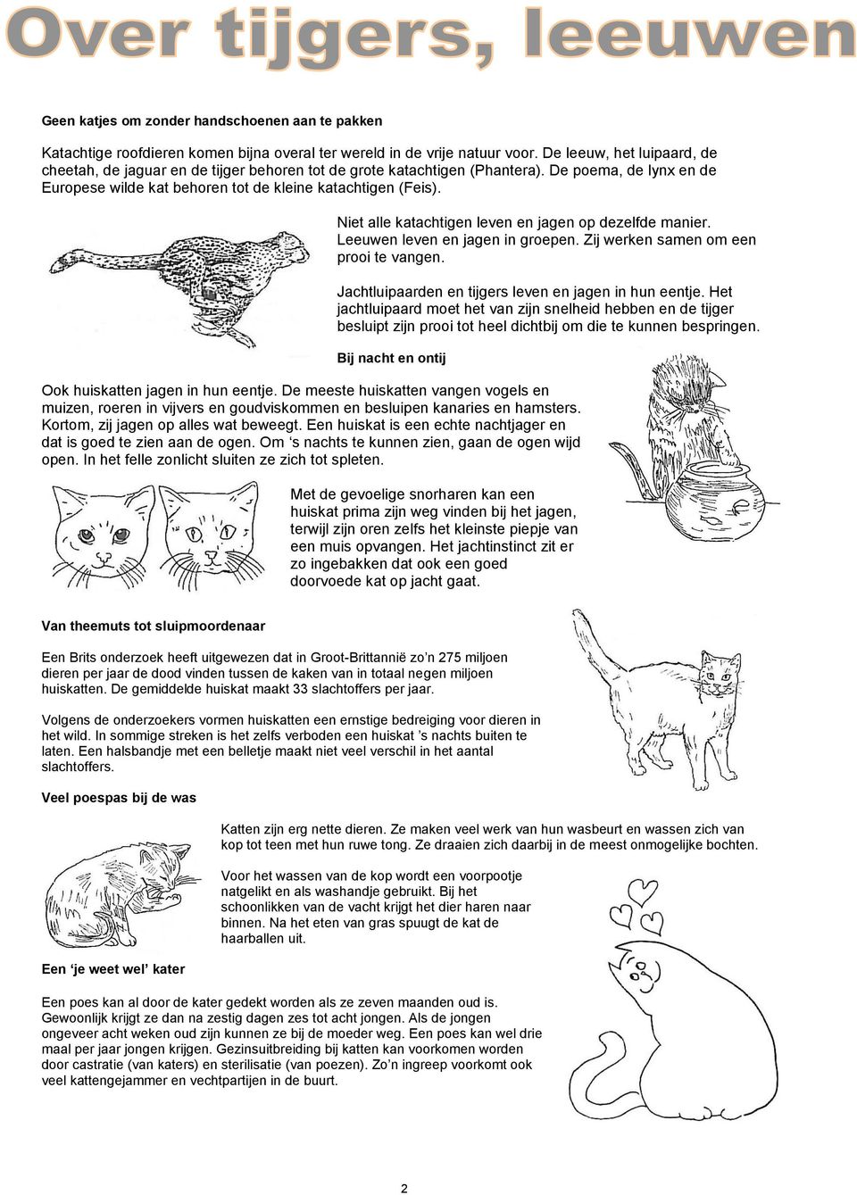 Niet alle katachtigen leven en jagen op dezelfde manier. Leeuwen leven en jagen in groepen. Zij werken samen om een prooi te vangen. Jachtluipaarden en tijgers leven en jagen in hun eentje.