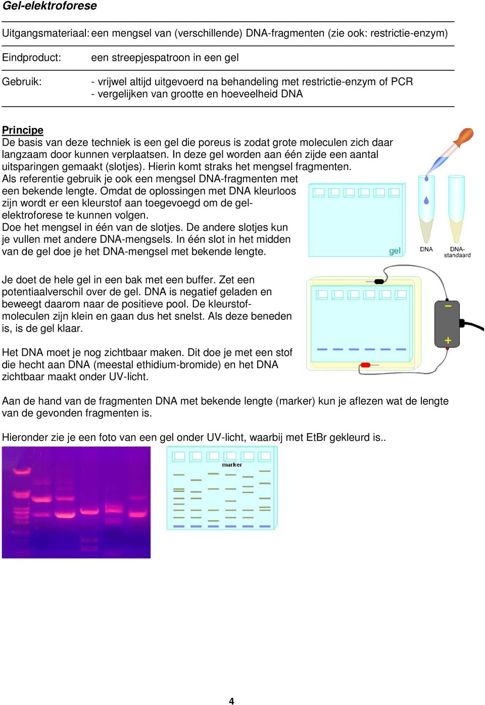 verplaatsen. In deze gel worden aan één zijde een aantal uitsparingen gemaakt (slotjes). Hierin komt straks het mengsel fragmenten.