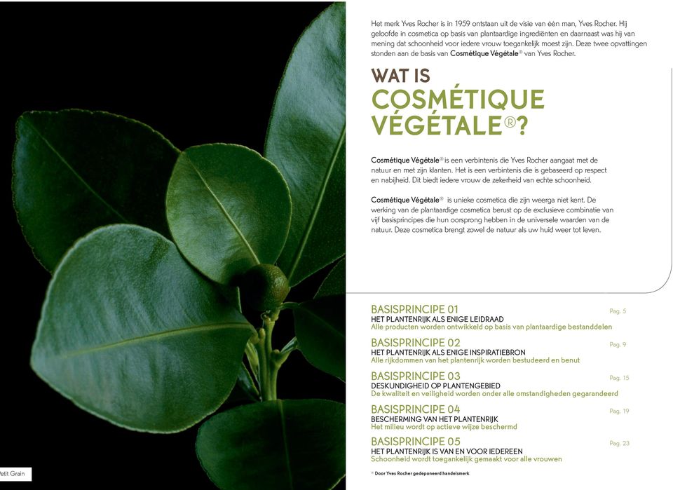 Deze twee opvattingen stonden aan de basis van Cosmétique Végétale van Yves Rocher. WAT IS COSMÉTIQUE VÉGÉTALE?