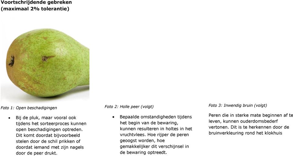 Foto 2: Holle peer (volgt) Bepaalde omstandigheden tijdens het begin van de bewaring, kunnen resulteren in holtes in het vruchtvlees.