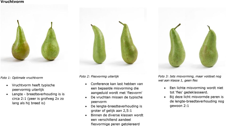 lengte-breedteverhouding is groter of gelijk aan 2,5:1 Binnen de diverse klassen wordt een verschillend aandeel flesvormige peren getolereerd Foto 3: Iets misvorming,